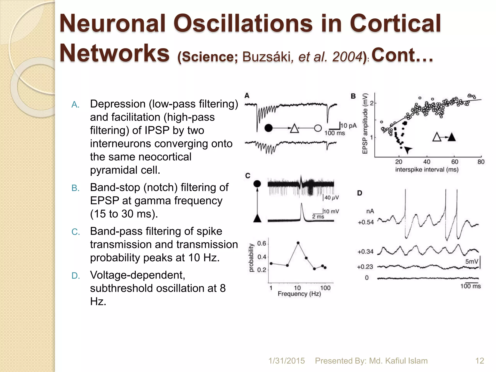 Neuronal Oscillations in Cortical
Networks (Science; Buzsáki, et al. 2004): Cont…
A. Depression (low-pass filtering)
and facilitation (high-pass
filtering) of IPSP by two
interneurons converging onto
the same neocortical
pyramidal cell.
B. Band-stop (notch) filtering of
EPSP at gamma frequency
(15 to 30 ms).
C. Band-pass filtering of spike
transmission and transmission
probability peaks at 10 Hz.
D. Voltage-dependent,
subthreshold oscillation at 8
Hz.
1/31/2015 Presented By: Md. Kafiul Islam 12
 