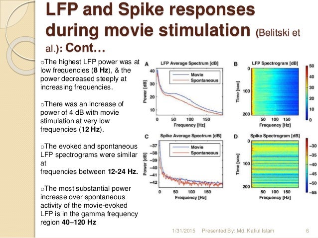 Local Field Potential Lfp Literature Review local field potential lfp literature review