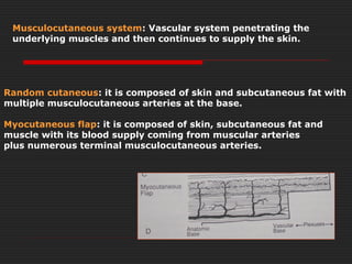 Musculocutaneous system: Vascular system penetrating the 
underlying muscles and then continues to supply the skin. 
Random cutaneous: it is composed of skin and subcutaneous fat with 
multiple musculocutaneous arteries at the base. 
Myocutaneous flap: it is composed of skin, subcutaneous fat and 
muscle with its blood supply coming from muscular arteries 
plus numerous terminal musculocutaneous arteries. 
 