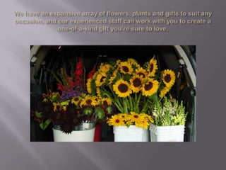 We have an expansive array of flowers, plants and gifts to suit any occasion, and our experienced staff can work with you to create a one-of-a-kind gift you’re sure to love. 