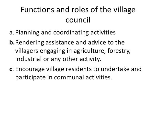 Duties of village executive officer in tanzania