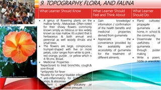 LOCAL HERITAGE
THEMES
9. TOPOGRAPHY, FLORA, AND FAUNA
Local Theme What Learner Should Know What Learner Should
Feel and Think About
What Learner
Should Do
GUMAMELA ( Hibiscus rosa-
sinensis Linn)
 A genus of flowering plants on the
mallow family , Malvaceae. Often noted
for their showy flowers commonly
known simply as hibiscus or less widely
known as rose mallow. It’s a plant that is
herbaceous & both annual and
perennial as well woody shrubs and
small trees.
 The flowers are large, conspicuous,
trumpet-shaped with five or more
petals, color ranges from white to pink ,
red orange, purple , or yellow which is
4-18 cms. Broad.
 Medicinal Properties
*expectorant to treat bronchitis, cough,&
sore throat
*antipyretic for fever
*diuretic for urinary/ bladder infections
* anti-inflammatory for boils, swelling,
mumps, & abscesses
*emollient ( soothing, placatory ,or
calmative) for high blood pressure
 Gain knowledge/
information / confirmation
of the health benefits and
medicinal properties
derived from gumamela
 Appreciate the
convenience provided by
the availability and
accessibility of gumamela
for the treatment of
different ailments.
 Plant/ cultivate/
propagate
gumamela at
home, in school &
the community.
 Disseminate the
usefulness of
gumamela
through poster
making
 Write a poem,
riddle or anecdote.
 