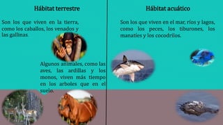 Hábitat terrestre Hábitat acuático
Son los que viven en la tierra,
como los caballos, los venados y
las gallinas.
Algunos animales, como las
aves, las ardillas y los
monos, viven más tiempo
en los arboles que en el
suelo.
Son los que viven en el mar, ríos y lagos,
como los peces, los tiburones, los
manatíes y los cocodrilos.
 
