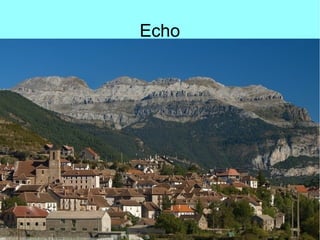 Echo
 