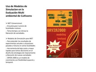 Localidades de evaluacion y sistemas regionales de ensayos