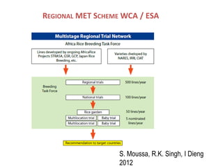 Localidades de evaluacion y sistemas regionales de ensayos