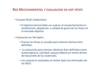 Localidades de evaluacion y sistemas regionales de ensayos