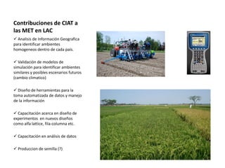 Localidades de evaluacion y sistemas regionales de ensayos