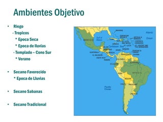 Localidades de evaluacion y sistemas regionales de ensayos