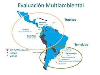 Localidades de evaluacion y sistemas regionales de ensayos
