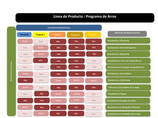 Localidades de evaluacion y sistemas regionales de ensayos