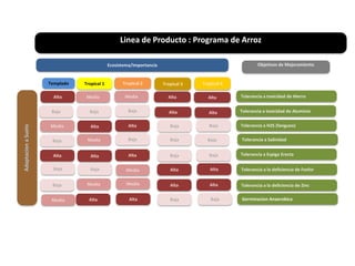 Localidades de evaluacion y sistemas regionales de ensayos