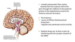 • complex polysynaptic fiber system
-extends from the superior half of the
pons through the midbrain to the posterior
portion of the hypothalamus and to the
thalamic reticular formation.
• The thalamus
• -source of diffuse thalamocortical
projections
-regulate and coordinate cortical activity.
• Sedative drugs act, at least in part, by
interfering with the synaptic network of
the ARAS
 