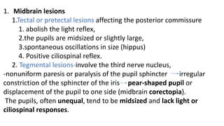 1. Midbrain lesions
1.Tectal or pretectal lesions affecting the posterior commissure
1. abolish the light reflex,
2.the pupils are midsized or slightly large,
3.spontaneous oscillations in size (hippus)
4. Positive ciliospinal reflex.
2. Tegmental lesions-involve the third nerve nucleus,
-nonuniform paresis or paralysis of the pupil sphincter irregular
constriction of the sphincter of the iris pear-shaped pupil or
displacement of the pupil to one side (midbrain corectopia).
The pupils, often unequal, tend to be midsized and lack light or
ciliospinal responses.
 