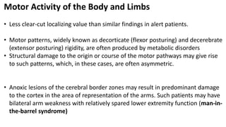Motor Activity of the Body and Limbs
• Less clear-cut localizing value than similar findings in alert patients.
• Motor patterns, widely known as decorticate (flexor posturing) and decerebrate
(extensor posturing) rigidity, are often produced by metabolic disorders
• Structural damage to the origin or course of the motor pathways may give rise
to such patterns, which, in these cases, are often asymmetric.
• Anoxic lesions of the cerebral border zones may result in predominant damage
to the cortex in the area of representation of the arms. Such patients may have
bilateral arm weakness with relatively spared lower extremity function (man-in-
the-barrel syndrome)
 