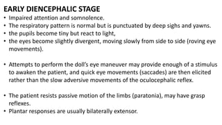 EARLY DIENCEPHALIC STAGE
• Impaired attention and somnolence.
• The respiratory pattern is normal but is punctuated by deep sighs and yawns.
• the pupils become tiny but react to light,
• the eyes become slightly divergent, moving slowly from side to side (roving eye
movements).
• Attempts to perform the doll’s eye maneuver may provide enough of a stimulus
to awaken the patient, and quick eye movements (saccades) are then elicited
rather than the slow adversive movements of the oculocephalic reflex.
• The patient resists passive motion of the limbs (paratonia), may have grasp
reflexes.
• Plantar responses are usually bilaterally extensor.
 