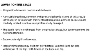 LOWER PONTINE STAGE
• Respiration becomes quicker and shallower.
• Apneustic breathing, common with primary ischemic lesions of this area, is
infrequent in patients with transtentorial herniation, perhaps because more
medially located structures are preferentially damaged.
• The pupils remain unchanged from the previous stage, but eye movements are
now unobtainable.
• Decerebrate rigidity decreases.
• Plantar stimulation may elicit not only bilateral Babinski signs but also
withdrawal of the legs, with flexion at the knee and hip.
 
