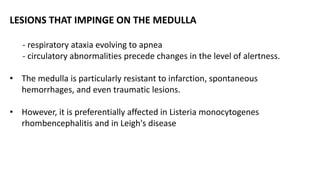 LESIONS THAT IMPINGE ON THE MEDULLA
- respiratory ataxia evolving to apnea
- circulatory abnormalities precede changes in the level of alertness.
• The medulla is particularly resistant to infarction, spontaneous
hemorrhages, and even traumatic lesions.
• However, it is preferentially affected in Listeria monocytogenes
rhombencephalitis and in Leigh's disease
 