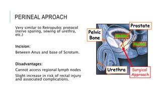 Retropubic Incision Localized & Locally Advanced Carcinoma Prostate | PPTX
