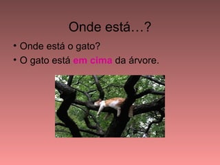 Onde está…?
• Onde está o gato?
• O gato está em cima da árvore.
 