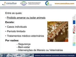 Entre as quais:
- Proibido amarrar ou isolar animais
Exceto:
• Casos individuais
• Período limitado
• Tratamentos médico-veterinários
Por razões:
- Segurança
- Bem-estar
- Intervenções de Maneio ou Veterinárias
 