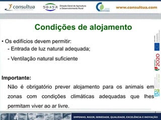 • Os edifícios devem permitir:
- Entrada de luz natural adequada;
- Ventilação natural suficiente
Importante:
Não é obrigatório prever alojamento para os animais em
zonas com condições climáticas adequadas que lhes
permitam viver ao ar livre.
Condições de alojamento
 