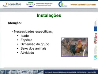 Atenção:
- Necessidades específicas:
• Idade
• Espécie
• Dimensão do grupo
• Sexo dos animais
• Atividade
Instalações
 