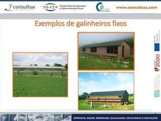 Exemplos de galinheiros fixos
 