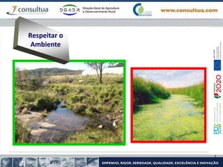 Respeitar o
Ambiente
 