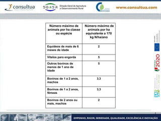 Número máximo de
animais por ha classe
ou espécie
Número máximo de
animais por ha
equivalente a 170
kg N/ha/ano
Equídeos de mais de 6
meses de idade
2
Vitelos para engorda 5
Outros bovinos de
menos de 1 ano de
idade
5
Bovinos de 1 a 2 anos,
machos
3,3
Bovinos de 1 a 2 anos,
fêmeas
3,3
Bovinos de 2 anos ou
mais, machos
2
 