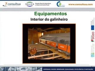 Interior do galinheiro
Equipamentos
 