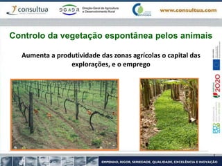 Controlo da vegetação espontânea pelos animais
Aumenta a produtividade das zonas agrícolas o capital das
explorações, e o emprego
 