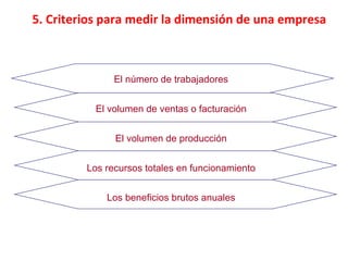 5.  Criterios para medir la dimensión de una empresa El número de trabajadores El volumen de ventas o facturación El volumen de producción Los recursos totales en funcionamiento Los beneficios brutos anuales 