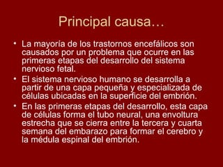 Principal causa… La mayoría de los trastornos encefálicos son causados por un problema que ocurre en las primeras etapas del desarrollo del sistema nervioso fetal.  El sistema nervioso humano se desarrolla a partir de una capa pequeña y especializada de células ubicadas en la superficie del embrión.  En las primeras etapas del desarrollo, esta capa de células forma el tubo neural, una envoltura estrecha que se cierra entre la tercera y cuarta semana del embarazo para formar el cerebro y la médula espinal del embrión.  