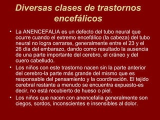 Diversas clases de trastornos encefálicos La ANENCEFALIA es un defecto del tubo neural que ocurre cuando el extremo encefálico (la cabeza) del tubo neural no logra cerrarse, generalmente entre el 23 y el 26 día del embarazo, dando como resultado la ausencia de una parte importante del cerebro, el cráneo y del cuero cabelludo.  Los niños con este trastorno nacen sin la parte anterior del cerebro-la parte más grande del mismo que es responsable del pensamiento y la coordinación. El tejido cerebral restante a menudo se encuentra expuesto-es decir, no está recubierto de hueso o piel.  Los niños que nacen con anencefalia generalmente son ciegos, sordos, inconscientes e insensibles al dolor.  
