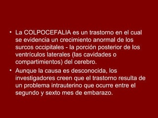La COLPOCEFALIA es un trastorno en el cual se evidencia un crecimiento anormal de los surcos occipitales - la porción posterior de los ventrículos laterales (las cavidades o compartimientos) del cerebro.   Aunque la causa es desconocida, los investigadores creen que el trastorno resulta de un problema intrauterino que ocurre entre el segundo y sexto mes de embarazo.  