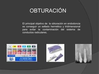 OBTURACIÓN

El principal objetivo de la obturación en endodoncia
es conseguir un sellado hermético y tridimensional
para evitar la contaminación del sistema de
conductos radiculares.
 