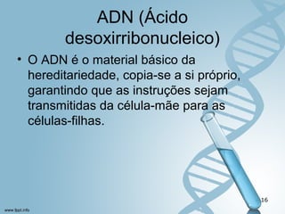 ADN (Ácido 
desoxirribonucleico) 
• O ADN é o material básico da 
hereditariedade, copia-se a si próprio, 
garantindo que as instruções sejam 
transmitidas da célula-mãe para as 
células-filhas. 
16 
 