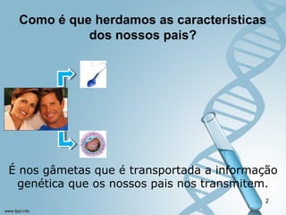 Como é que herdamos as características 
dos nossos pais? 
É nos gâmetas que é transportada a informação 
genética que os nossos pais nos transmitem. 
2 
 