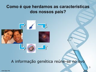 Como é que herdamos as características 
dos nossos pais? 
3 
A informação genética reúne-se no ovo 
 