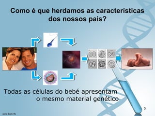 Como é que herdamos as características 
dos nossos pais? 
5 
Todas as células do bebé apresentam 
o mesmo material genético 
 