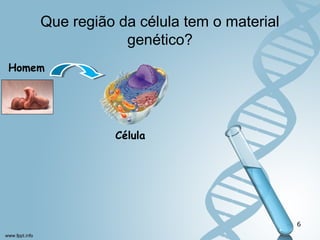 Que região da célula tem o material 
genético? 
6 
Homem 
Célula 
 