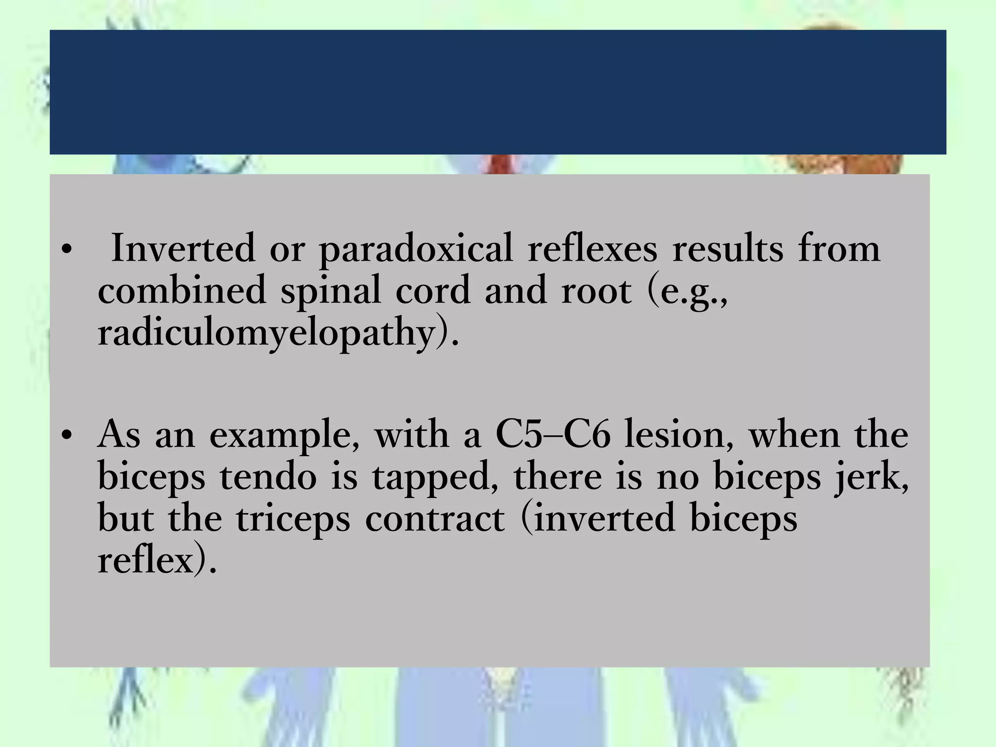 • Inverted or paradoxical reflexes results from
combined spinal cord and root (e.g.,
radiculomyelopathy).
• As an example, with a C5–C6 lesion, when the
biceps tendo is tapped, there is no biceps jerk,
but the triceps contract (inverted biceps
reflex).
 