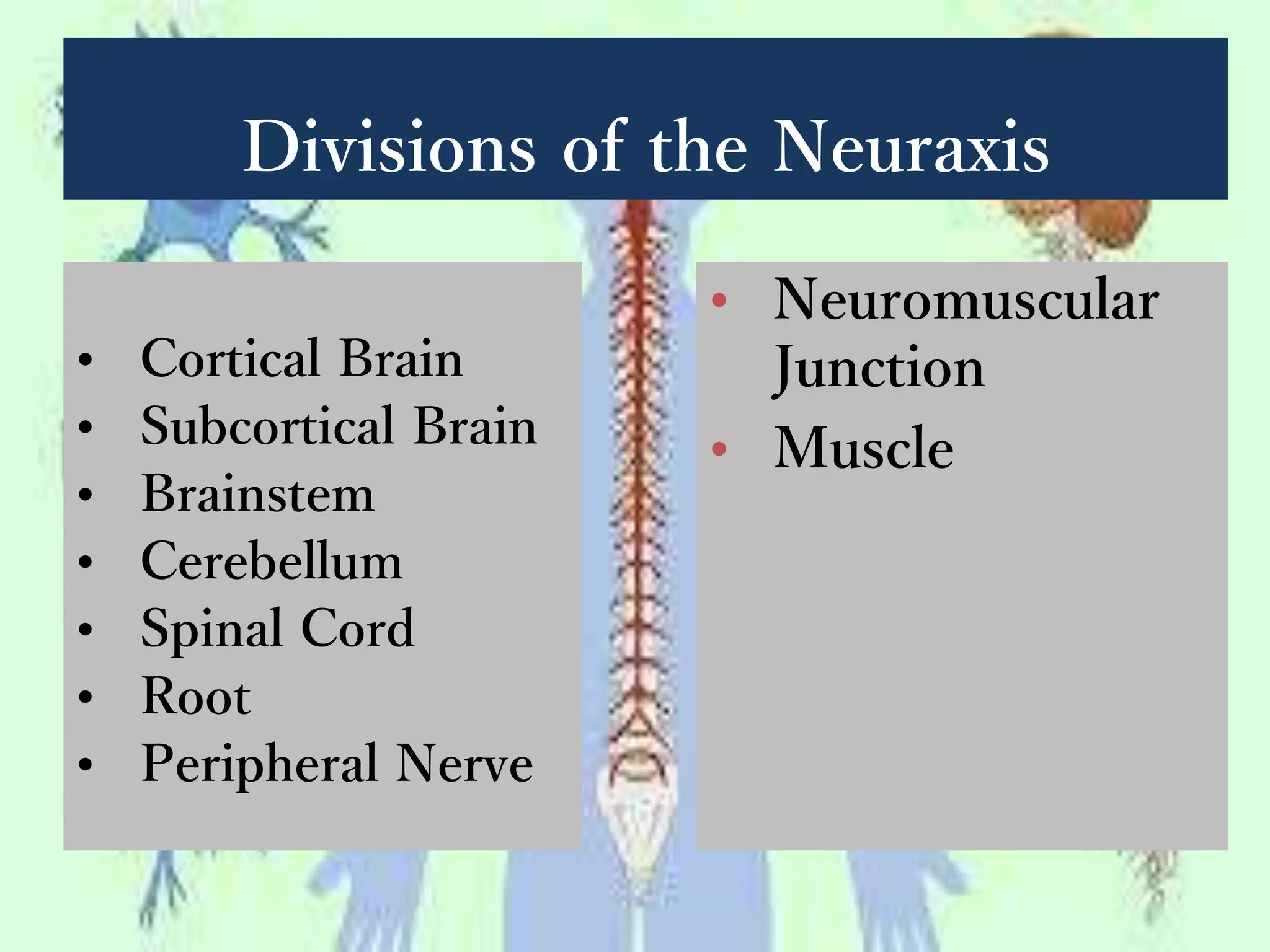 Divisions of the Neuraxis
• Cortical Brain
• Subcortical Brain
• Brainstem
• Cerebellum
• Spinal Cord
• Root
• Peripheral Nerve
• Neuromuscular
Junction
• Muscle
 