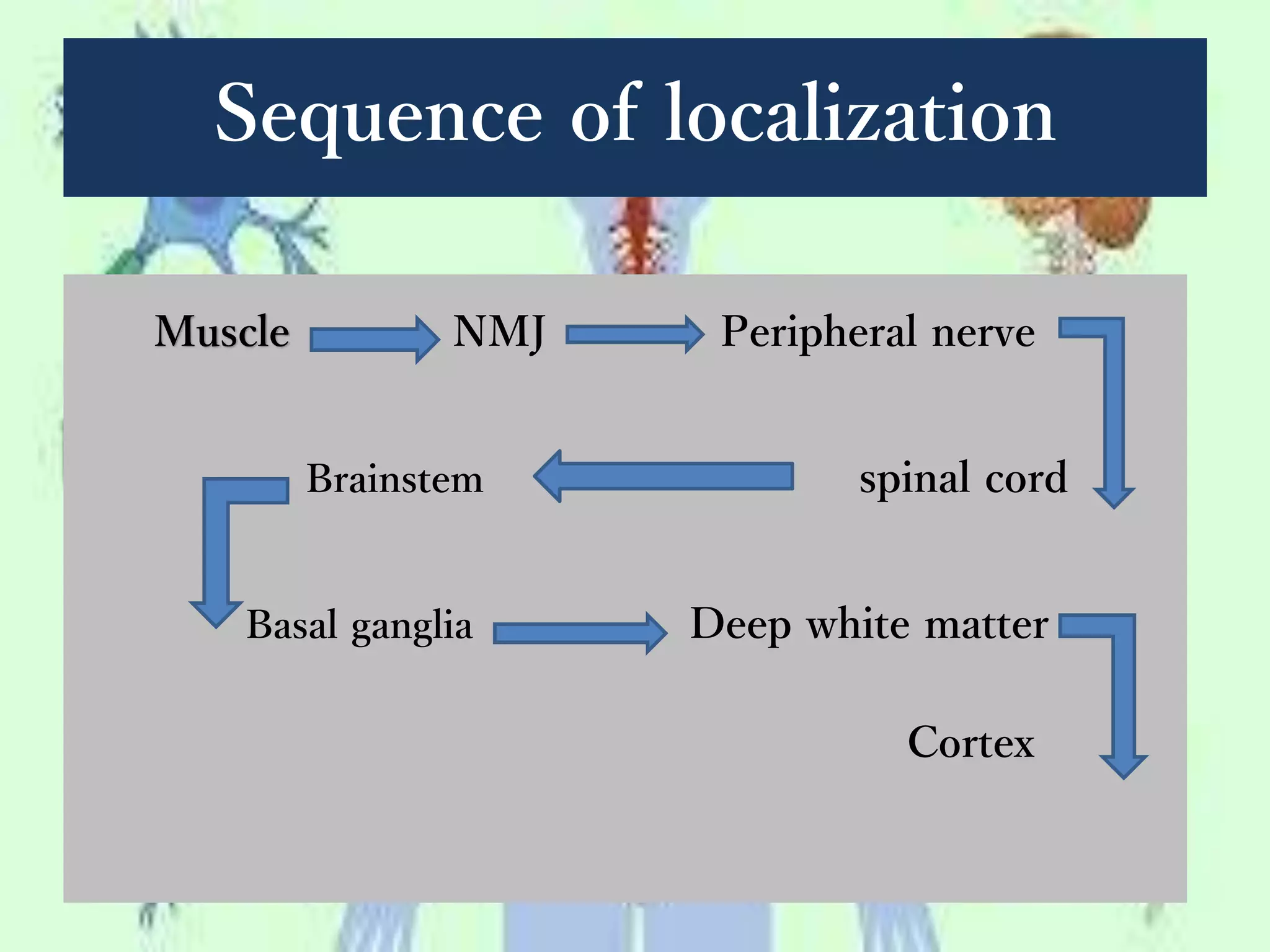 Sequence of localization
Muscle NMJ Peripheral nerve
Brainstem spinal cord
Basal ganglia Deep white matter
Cortex
 