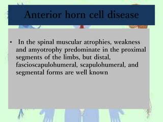 Anterior horn cell disease
• In the spinal muscular atrophies, weakness
and amyotrophy predominate in the proximal
segments of the limbs, but distal,
fascioscapulohumeral, scapulohumeral, and
segmental forms are well known
 