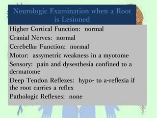 Neurologic Examination when a Root
is Lesioned
Higher Cortical Function: normal
Cranial Nerves: normal
Cerebellar Function: normal
Motor: assymetric weakness in a myotome
Sensory: pain and dysesthesia confined to a
dermatome
Deep Tendon Reflexes: hypo- to a-reflexia if
the root carries a reflex
Pathologic Reflexes: none
 