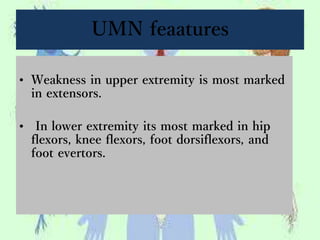 UMN feaatures
• Weakness in upper extremity is most marked
in extensors.
• In lower extremity its most marked in hip
flexors, knee flexors, foot dorsiflexors, and
foot evertors.
 