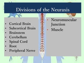 Divisions of the Neuraxis
• Cortical Brain
• Subcortical Brain
• Brainstem
• Cerebellum
• Spinal Cord
• Root
• Peripheral Nerve
• Neuromuscular
Junction
• Muscle
 