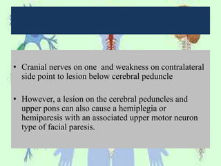 • Cranial nerves on one and weakness on contralateral
side point to lesion below cerebral peduncle
• However, a lesion on the cerebral peduncles and
upper pons can also cause a hemiplegia or
hemiparesis with an associated upper motor neuron
type of facial paresis.
 